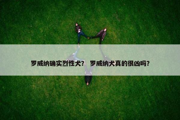 罗威纳确实烈性犬？ 罗威纳犬真的很凶吗？
