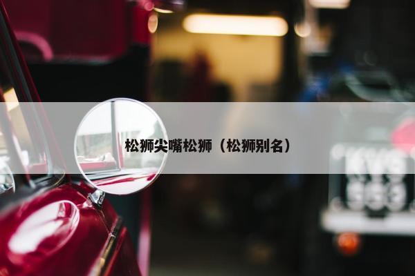 松狮尖嘴松狮（松狮别名）