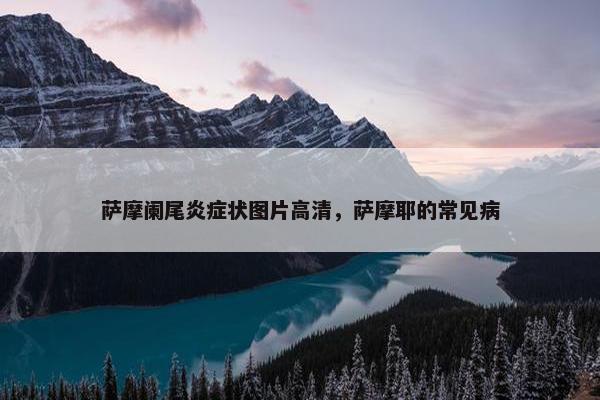 萨摩阑尾炎症状图片高清,萨摩耶的常见病 萨摩阑尾炎症状图片高清,萨摩耶的常见病