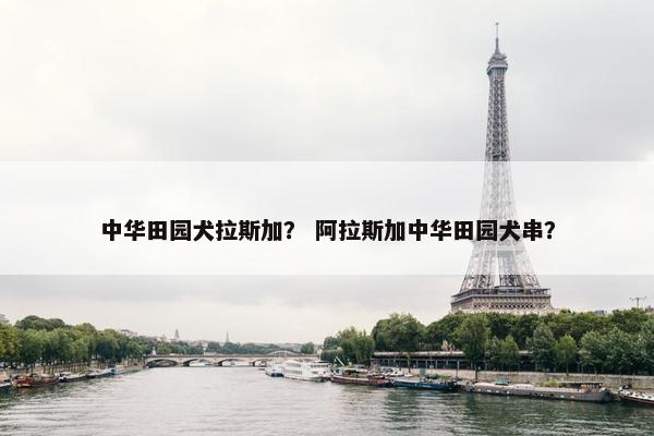 中华田园犬拉斯加？ 阿拉斯加中华田园犬串？