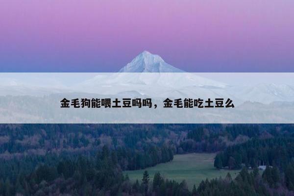 金毛狗能喂土豆吗吗，金毛能吃土豆么