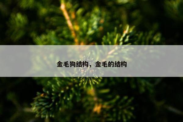 金毛狗结构，金毛的结构