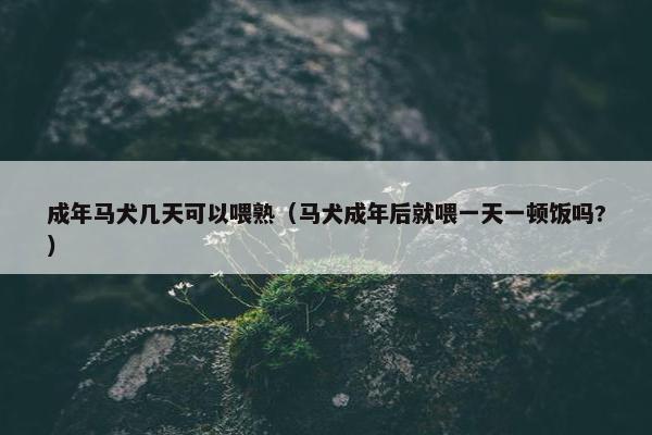 成年马犬几天可以喂熟（马犬成年后就喂一天一顿饭吗?）