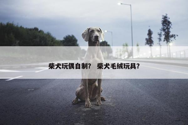 柴犬玩偶自制？ 柴犬毛绒玩具？