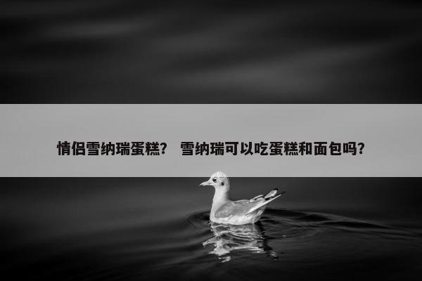 情侣雪纳瑞蛋糕？ 雪纳瑞可以吃蛋糕和面包吗？