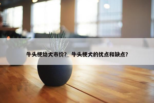 牛头梗幼犬市价？ 牛头梗犬的优点和缺点？