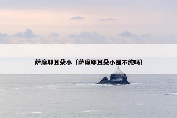 萨摩耶耳朵小（萨摩耶耳朵小是不纯吗）