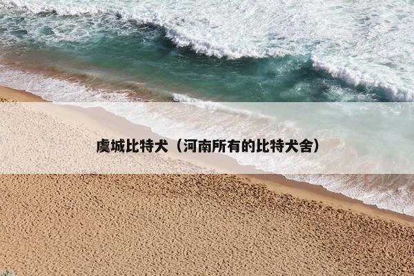 虞城比特犬（河南所有的比特犬舍）