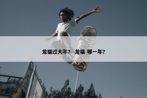 龙猫过大年？ 龙猫 哪一年？