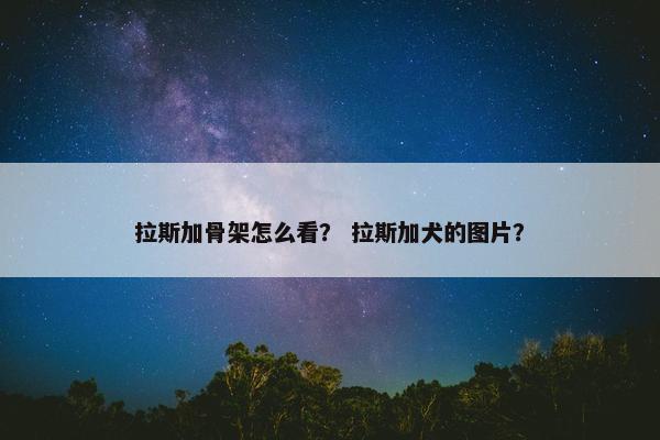 拉斯加骨架怎么看？ 拉斯加犬的图片？
