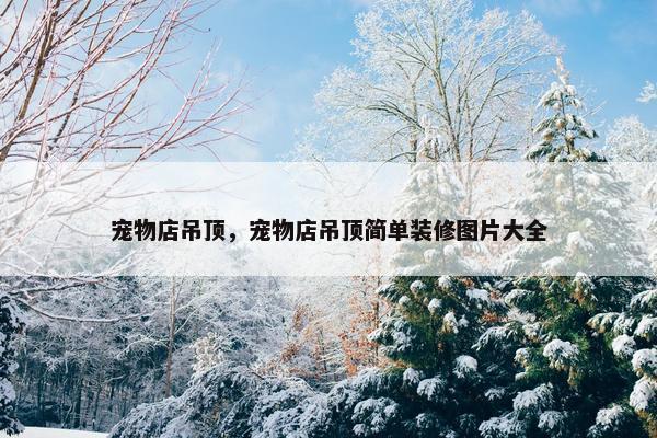 宠物店吊顶，宠物店吊顶简单装修图片大全