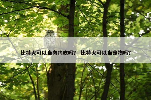 比特犬可以当肉狗吃吗？ 比特犬可以当宠物吗？