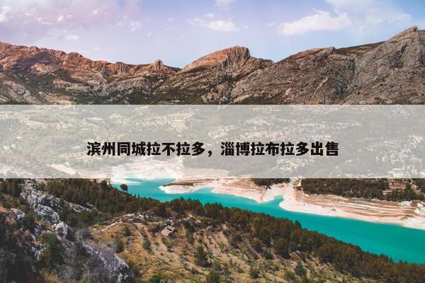 滨州同城拉不拉多，淄博拉布拉多出售