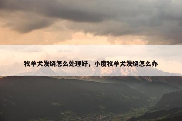 牧羊犬发烧怎么处理好，小度牧羊犬发烧怎么办