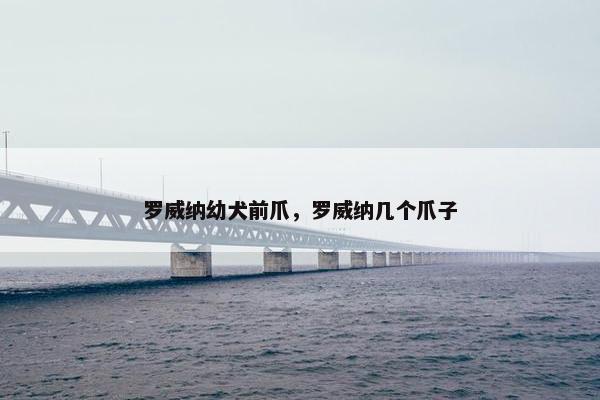 罗威纳幼犬前爪，罗威纳几个爪子