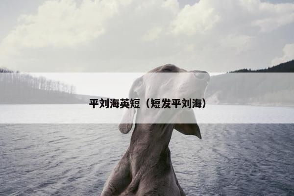 平刘海英短（短发平刘海）