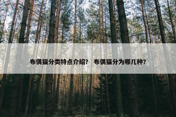 布偶猫分类特点介绍？ 布偶猫分为哪几种？