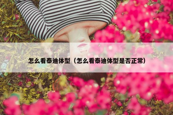 怎么看泰迪体型（怎么看泰迪体型是否正常）