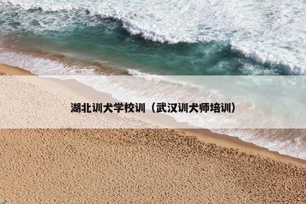湖北训犬学校训（武汉训犬师培训）
