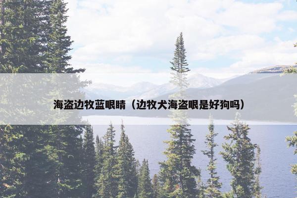 海盗边牧蓝眼睛（边牧犬海盗眼是好狗吗）