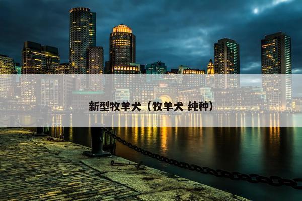 新型牧羊犬（牧羊犬 纯种）