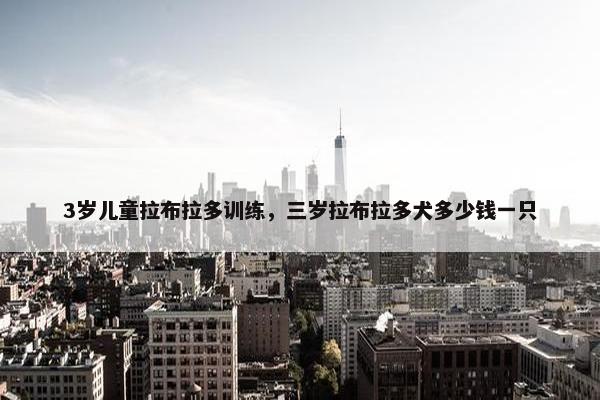 3岁儿童拉布拉多训练，三岁拉布拉多犬多少钱一只