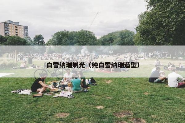 白雪纳瑞剃光（纯白雪纳瑞造型）