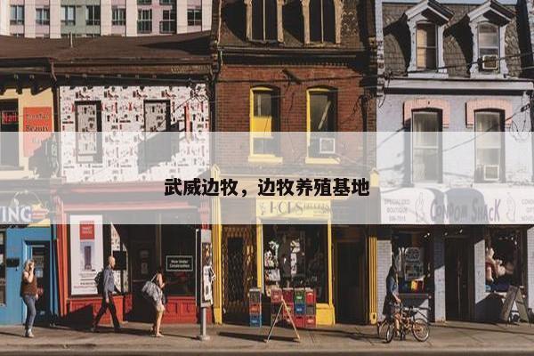 武威边牧，边牧养殖基地