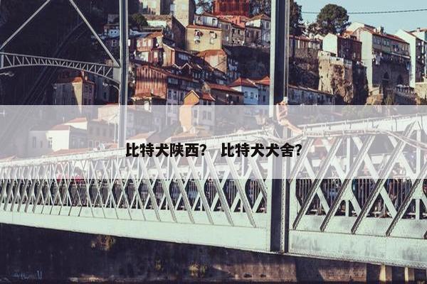 比特犬陕西？ 比特犬犬舍？