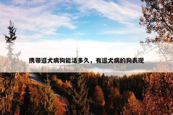 携带逛犬病狗能活多久，有逛犬病的狗表现