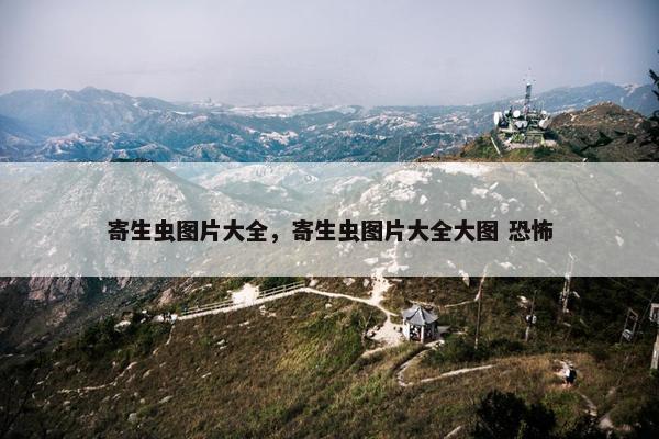 寄生虫图片大全，寄生虫图片大全大图 恐怖