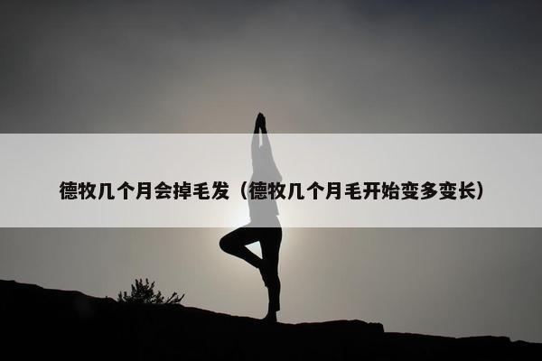 德牧几个月会掉毛发（德牧几个月毛开始变多变长）