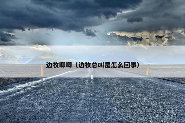 边牧唧唧（边牧总叫是怎么回事）