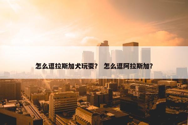 怎么逗拉斯加犬玩耍？ 怎么逗阿拉斯加？