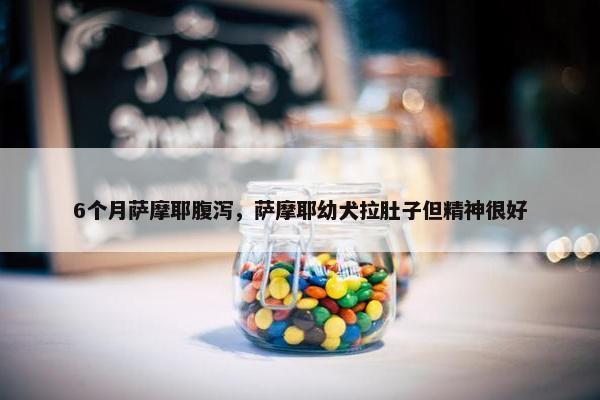 6个月萨摩耶腹泻，萨摩耶幼犬拉肚子但精神很好