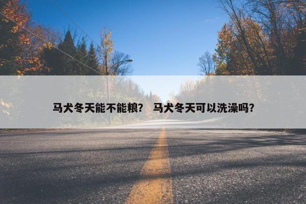 马犬冬天能不能粮？ 马犬冬天可以洗澡吗？
