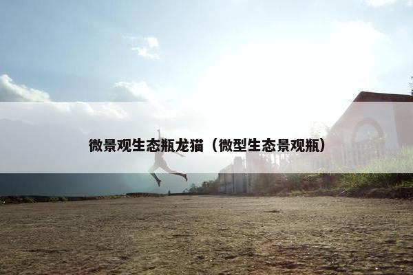 微景观生态瓶龙猫（微型生态景观瓶）