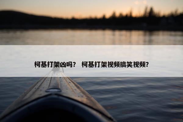 柯基打架凶吗？ 柯基打架视频搞笑视频？