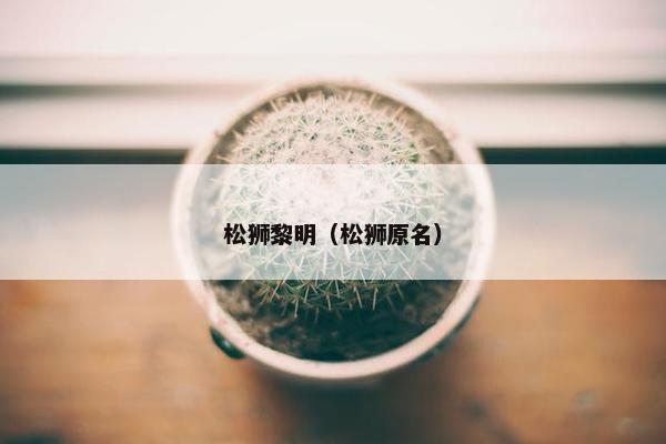 松狮黎明（松狮原名）