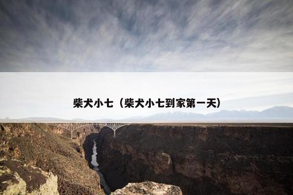 柴犬小七（柴犬小七到家第一天）