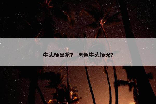 牛头梗黑笔？ 黑色牛头梗犬？