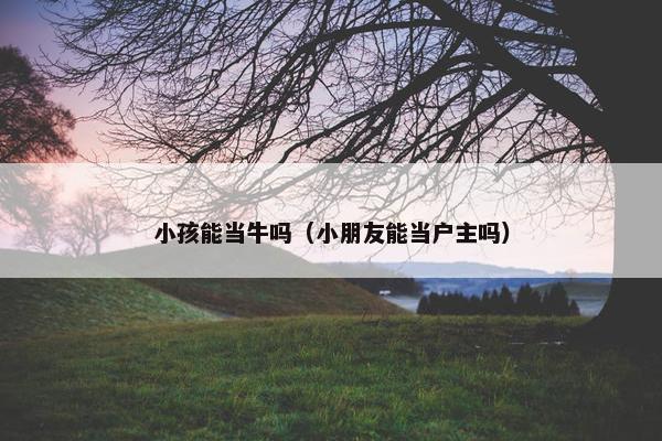 小孩能当牛吗（小朋友能当户主吗）