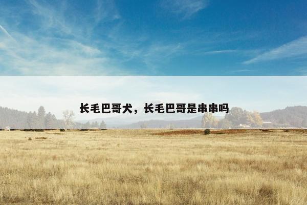 长毛巴哥犬，长毛巴哥是串串吗