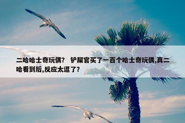 二哈哈士奇玩偶？ 铲屎官买了一百个哈士奇玩偶,真二哈看到后,反应太逗了？