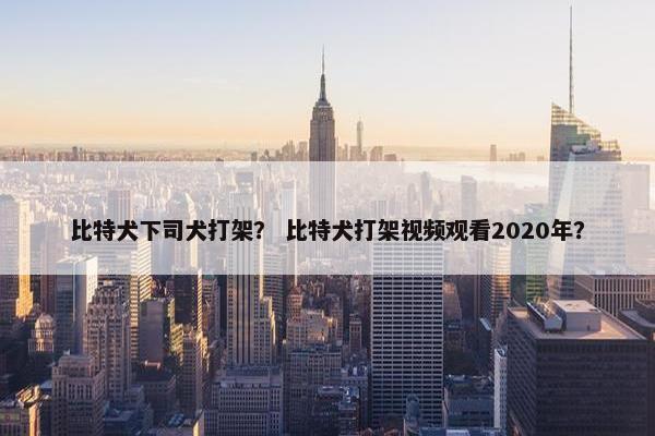 比特犬下司犬打架？ 比特犬打架视频观看2020年？