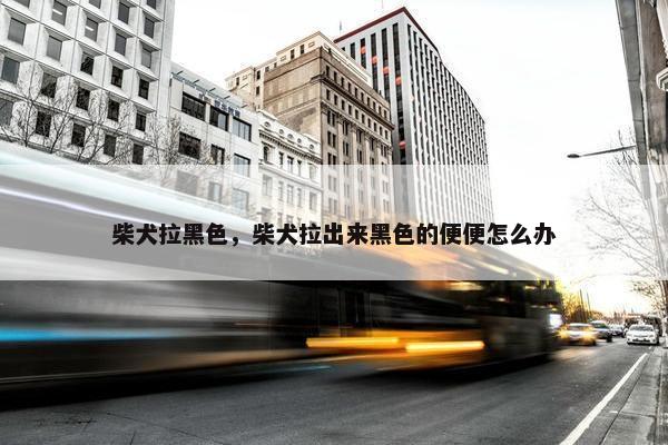 柴犬拉黑色，柴犬拉出来黑色的便便怎么办