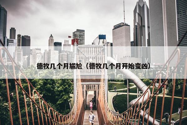 德牧几个月尴尬（德牧几个月开始变凶）