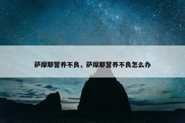萨摩耶营养不良，萨摩耶营养不良怎么办