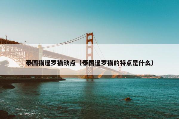 泰国猫暹罗猫缺点（泰国暹罗猫的特点是什么）
