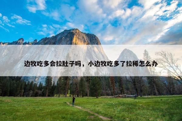 边牧吃多会拉肚子吗，小边牧吃多了拉稀怎么办